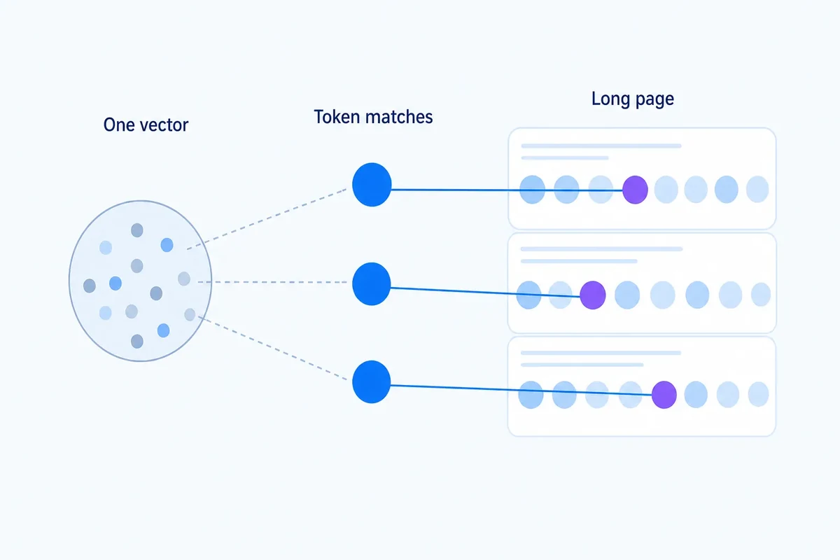 Editorial diagram comparing one compressed page vector with token-level query matches to specific sections of a long page.